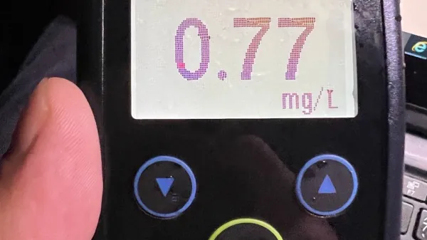 Pijan čelno treščil v drevo