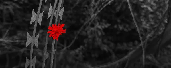 Mir upanje meja obmejno obmejnost mejni prehod rezilna žica