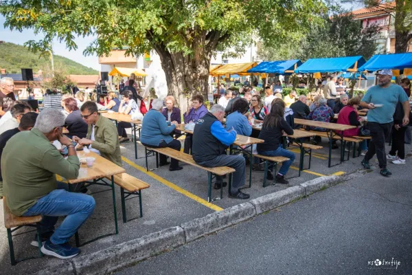 Na &Scaron;kofijah so slavili vino in oljke