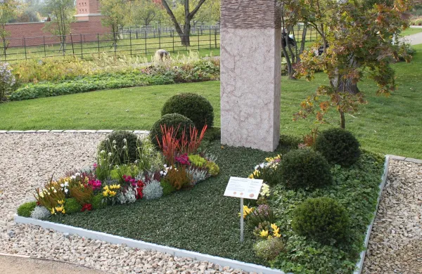 Mini grmički in trajnice za grobove