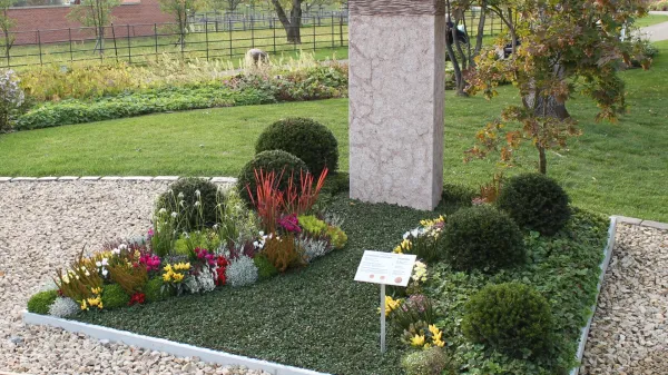 Mini grmički in trajnice za grobove