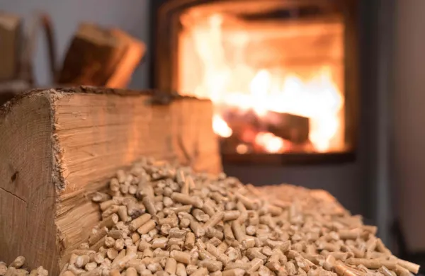 Kako izberemo kakovostno kurivo iz lesne biomase