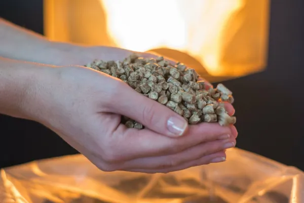 Kako izberemo kakovostno kurivo iz lesne biomase