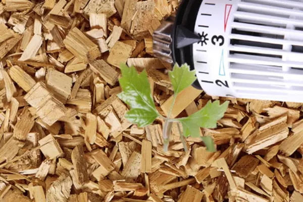 Kako izberemo kakovostno kurivo iz lesne biomase