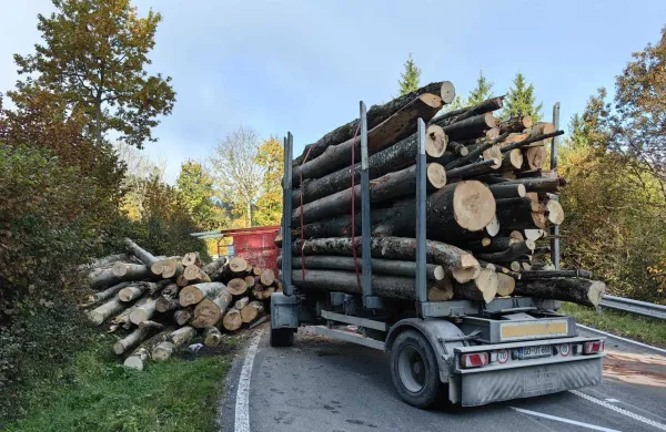 Planina: Prevrnil tovornjak s hlodovino