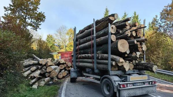 Planina: Prevrnil tovornjak s hlodovino
