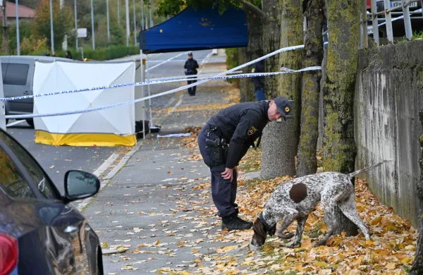 Mrtva obležala drug na drugem