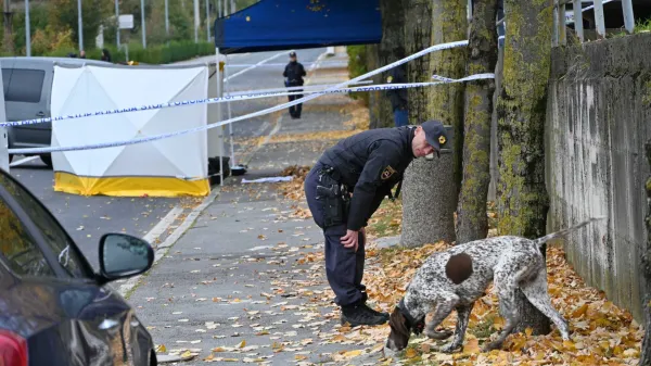 Mrtva obležala drug na drugem