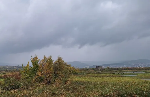 Škocjanski zatok, Koper, vreme
