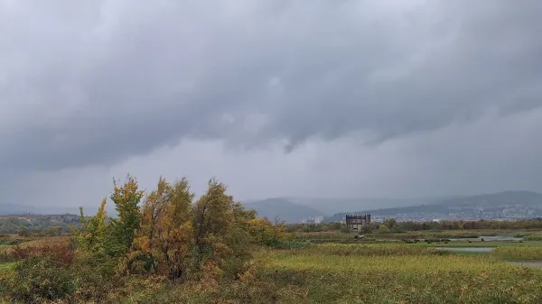 Škocjanski zatok, Koper, vreme