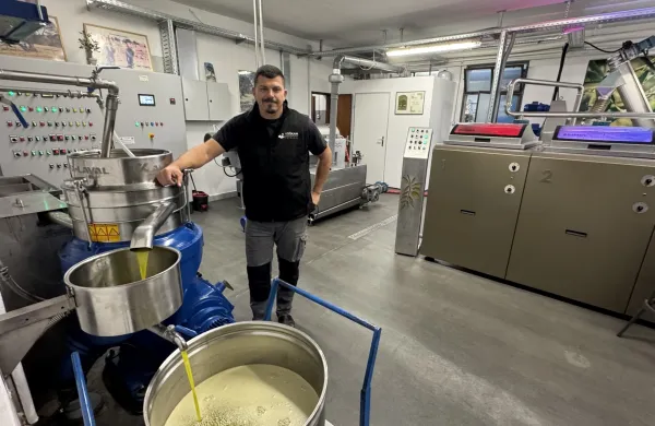 oljčno olje oljarna letina torkla istra 2025 danijel toškan