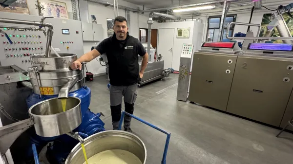 oljčno olje oljarna letina torkla istra 2025 danijel toškan