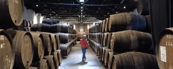 Kjer zorijo portovci