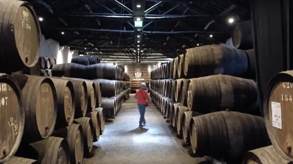 Kjer zorijo portovci