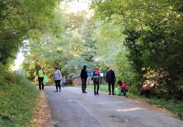 Prvo ploganje v slovenski Istri