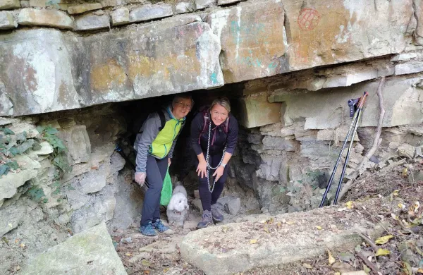 Prvo ploganje v slovenski Istri