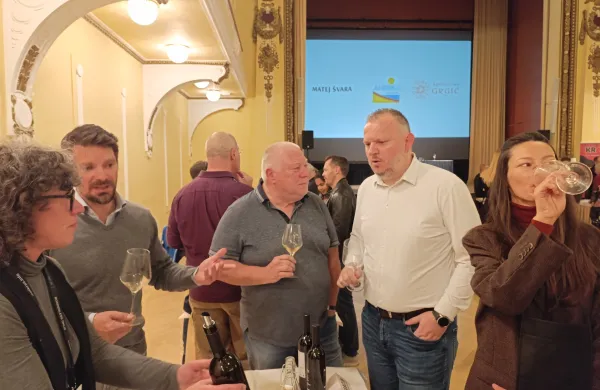 unionska dvorana malvazije v pristanu 2025 kras carso mavazija vino 