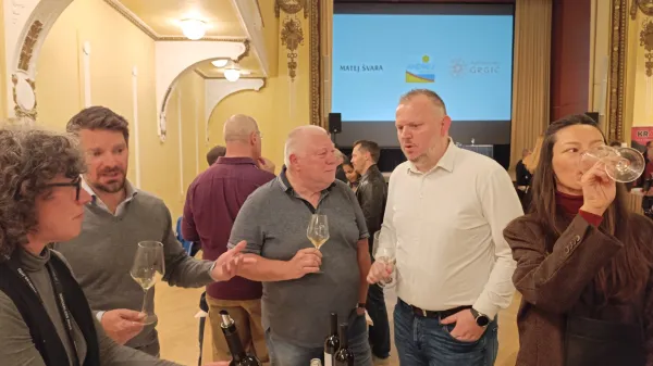 unionska dvorana malvazije v pristanu 2025 kras carso mavazija vino 