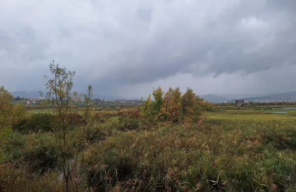 vreme, dež, &scaron;kocjanski zatok, koper