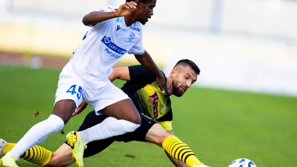 Bitke za uvrstitev v Evropo, a tudi za preživetje na domačih tleh