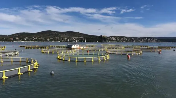 Ribogojnica Valle Ca' Zuliani med Ribiškim naseljem in Devinom ter med nekdanjim kamnolomom v Sesljanu in nabrežinsko obalo