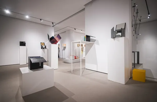 Kocka priča, da je raznolikost neizmerno bogastvo