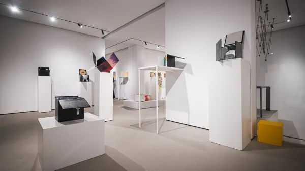 Kocka priča, da je raznolikost neizmerno bogastvo