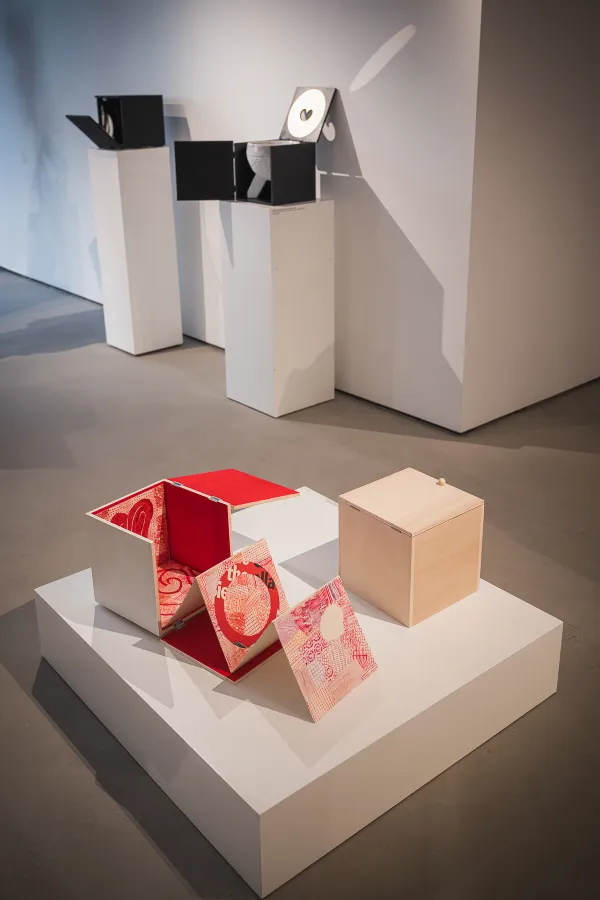 Kocka priča, da je raznolikost neizmerno bogastvo