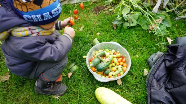 V lepem vremenu bodo tudi otroci z veseljem pomagali pri delu. 