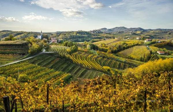 Brda odeta v jesenske barve