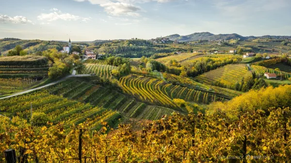 Brda odeta v jesenske barve