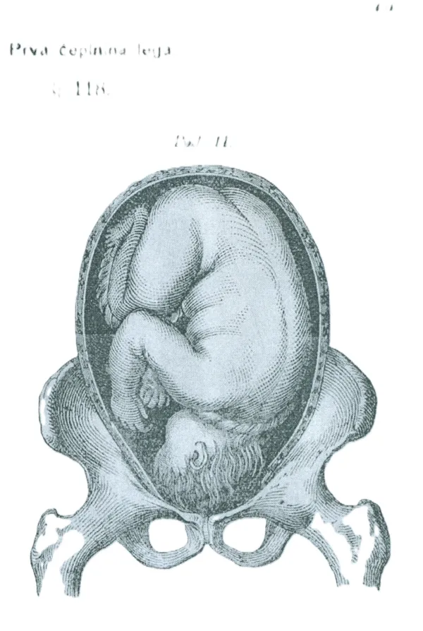 Učna knjiga za babice, 1886Med prvimi porodniškimi učbeniki v slovenskem jeziku je bil tudi učbenik Benvenuta Banellija, Kratek poduk o pravem babičevanju (1860), ki je veljal za temeljno gradivo tudi pri slovenskih tečajih v Trstu.