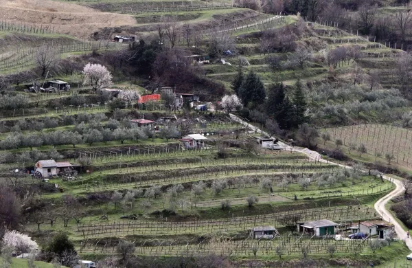 ﻿Izola, 15.03.2013vrtičkarji, njive, kmetijske površine, kmetijska zemljišča, zelene površine, barake na njivah, Polje