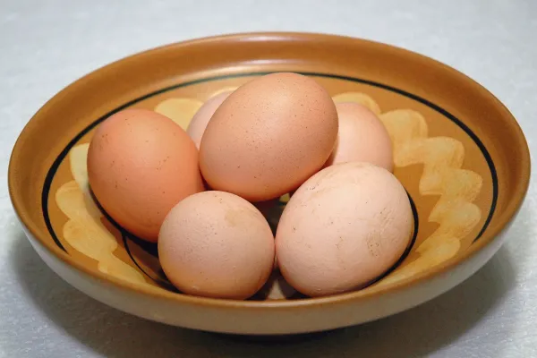 Uživanje nekaterih surovih živil lahko resno ogrozi zdravje