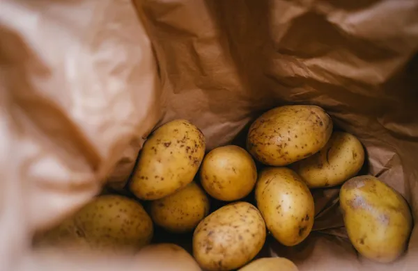 Uživanje nekaterih surovih živil lahko resno ogrozi zdravje