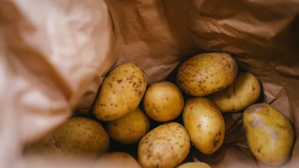 Uživanje nekaterih surovih živil lahko resno ogrozi zdravje