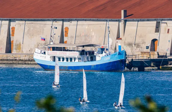 Ker ga nihče noče niti zastonj, bo Laho najbrž šel v razrez