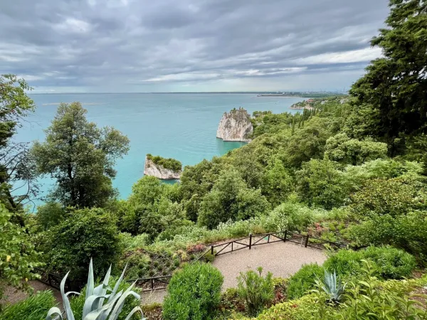 Lepota od nekdaj poganja človeka, da bi se ji približal, jo posedoval ...