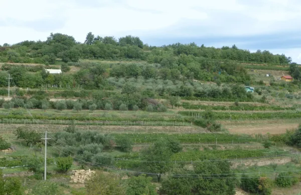 ﻿istra, izola, korte, kmetijska zemljišča, barake, september 2013