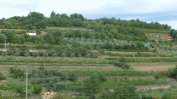﻿istra, izola, korte, kmetijska zemljišča, barake, september 2013