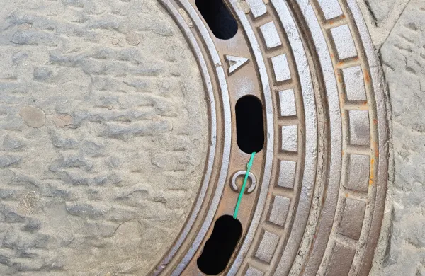 ﻿jašek, kanalizacija, vaba za podgane