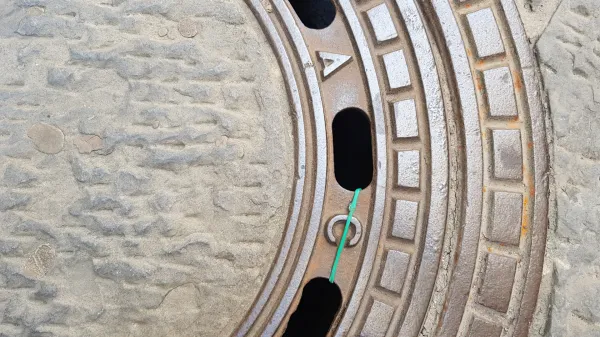 ﻿jašek, kanalizacija, vaba za podgane