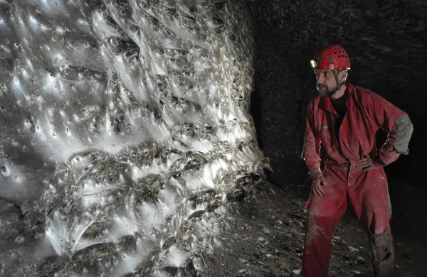 Na mreži naj bi domovalo več kot 111 tisoč pajkov