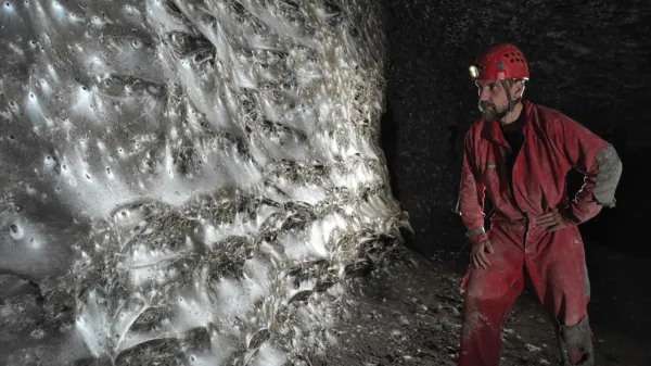 Na mreži naj bi domovalo več kot 111 tisoč pajkov