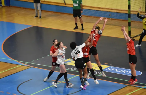 Obisk pri rokometni velesili