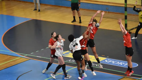 Obisk pri rokometni velesili