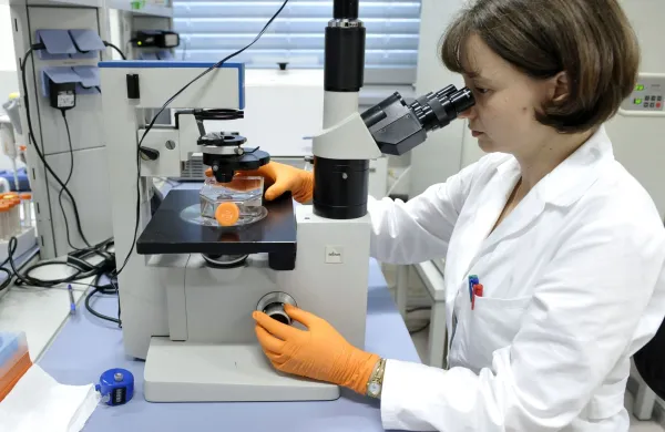 ﻿Ljubljana, Center za matične celice. Predstavitev Centra za Maticne celice (CMC), na kateri so predstavili kljucne razvojne in poslovne izzive na dejavnosti CMC. Pregledovanje maticnih celic na mikroskopu. Laboratorij Foto: Tamino Petelinsek/STA