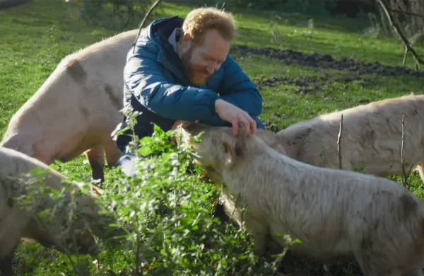 never go vegan prašiči dobrobit živali