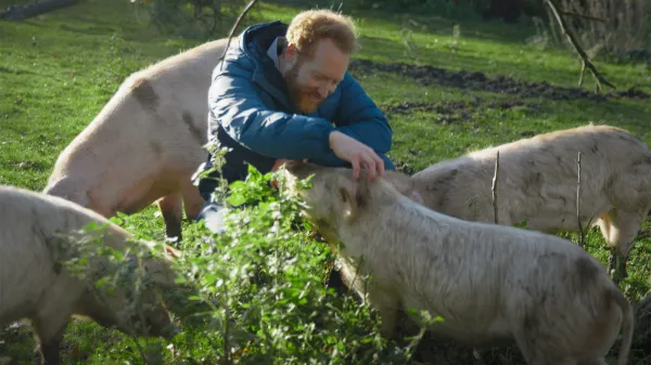 never go vegan pra&scaron;iči dobrobit živali