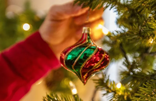 Image: 674016240, License: Royalty-free, Restrictions:, Model Release: yes, Credit line: Steve Smith/Tetra Images/Profimedia